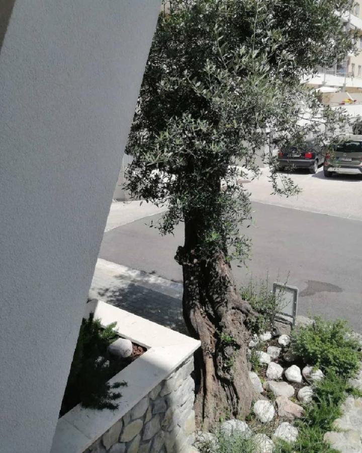 Mondi Azzurri Apartment Budva Bagian luar foto
